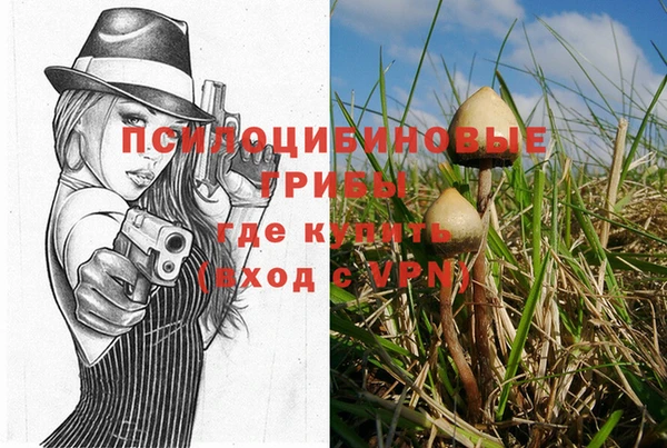 Альфа ПВП Баксан