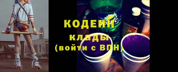 шишки Балахна