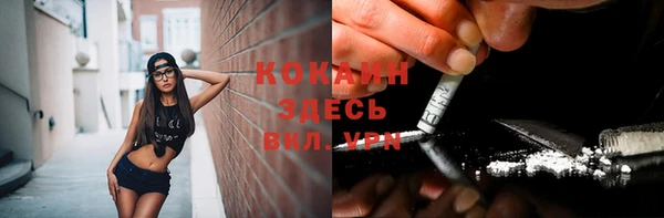 шишки Балахна
