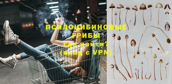 Альфа ПВП Баксан