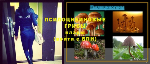 Альфа ПВП Баксан