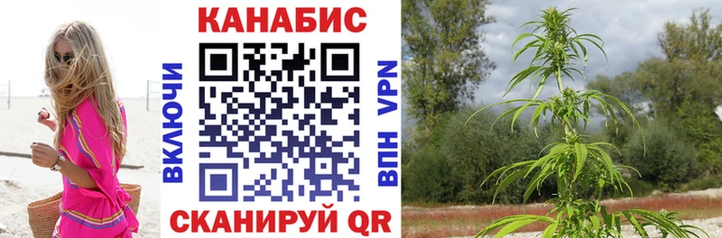 Каннабис гибрид  магазин продажи   Пестово 